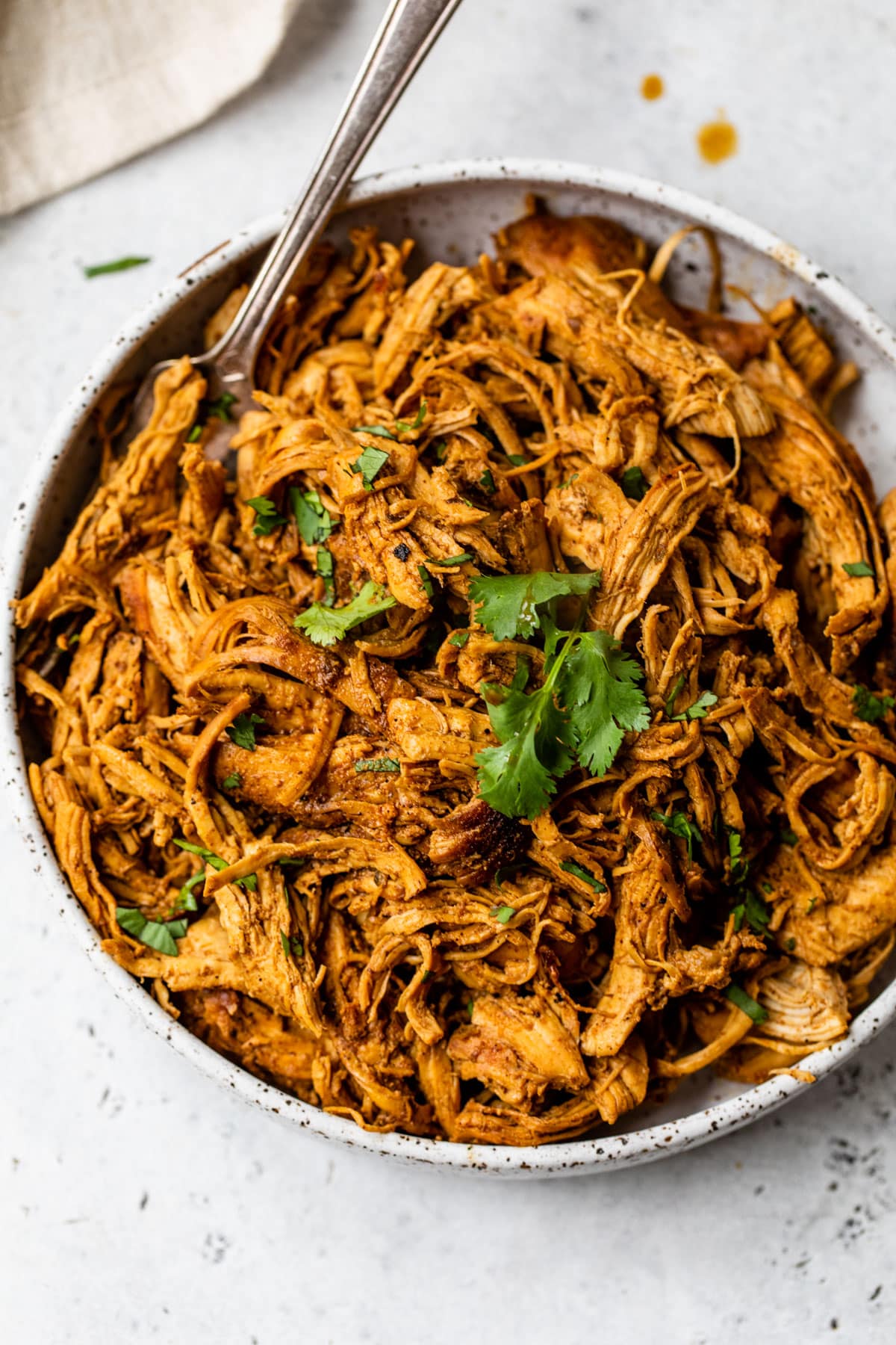 Spice Up Your Weeknights with Mexican Shredded Chicken